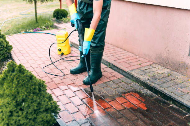 Best Restaurant Pressure Washing  in Long Prairie, MN